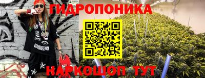 mdma Аргун