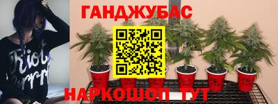 mdma Аргун