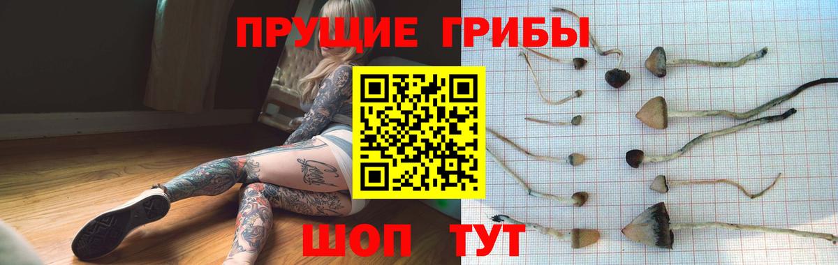 Волжский  Галлюциногенные грибы мицелий  Вход с VPN  Псилоцибиновые грибы Magic Shrooms 